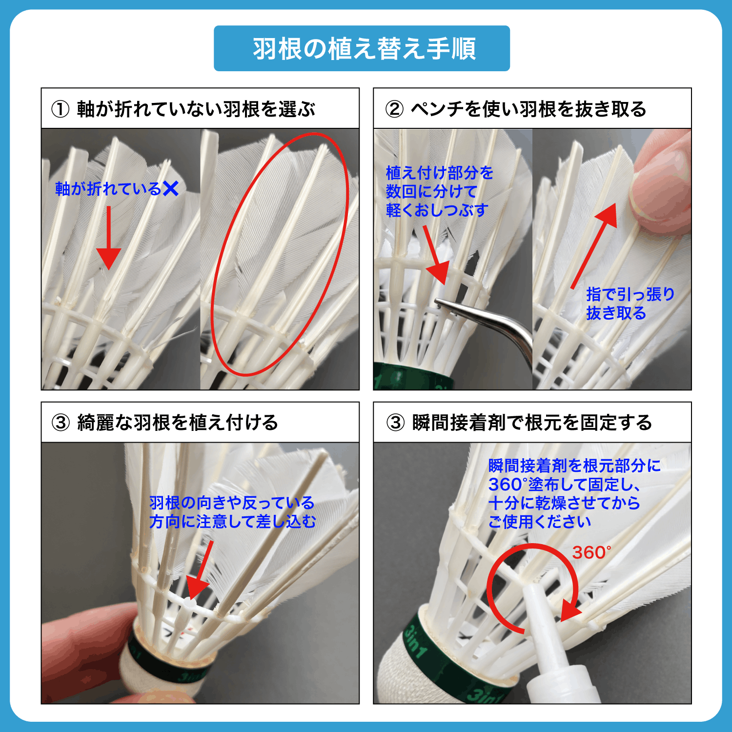 ハイブリッドシャトル 10ダース ガチョウ羽根 高耐久